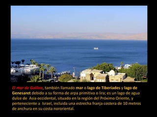 El mar de Galilea, también llamado mar o lago de Tiberíades y lago de
Genesaret debido a su forma de arpa primitiva o lira; es un lago de agua
dulce de Asia occidental, situado en la región del Próximo Oriente, y
perteneciente a Israel, incluida una estrecha franja costera de 10 metros
de anchura en su costa nororiental.
 