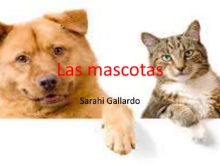 Las mascotas
Sarahi Gallardo
 