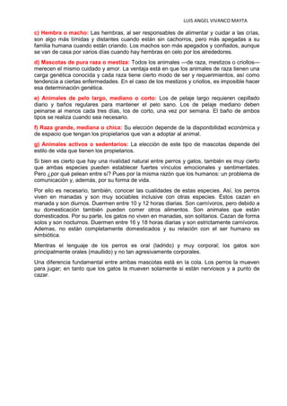 LUIS ANGEL VIVANCO MAYTA
c) Hembra o macho: Las hembras, al ser responsables de alimentar y cuidar a las crías,
son algo más tímidas y distantes cuando están sin cachorros, pero más apegadas a su
familia humana cuando están criando. Los machos son más apegados y confiados, aunque
se van de casa por varios días cuando hay hembras en celo por los alrededores.
d) Mascotas de pura raza o mestiza: Todos los animales —de raza, mestizos o criollos—
merecen el mismo cuidado y amor. La ventaja está en que los animales de raza tienen una
carga genética conocida y cada raza tiene cierto modo de ser y requerimientos, así como
tendencia a ciertas enfermedades. En el caso de los mestizos y criollos, es imposible hacer
esa determinación genética.
e) Animales de pelo largo, mediano o corto: Los de pelaje largo requieren cepillado
diario y baños regulares para mantener el pelo sano. Los de pelaje mediano deben
peinarse al menos cada tres días, los de corto, una vez por semana. El baño de ambos
tipos se realiza cuando sea necesario.
f) Raza grande, mediana o chica: Su elección depende de la disponibilidad económica y
de espacio que tengan los propietarios que van a adoptar al animal.
g) Animales activos o sedentarios: La elección de este tipo de mascotas depende del
estilo de vida que tienen los propietarios.
Si bien es cierto que hay una rivalidad natural entre perros y gatos, también es muy cierto
que ambas especies pueden establecer fuertes vínculos emocionales y sentimentales.
Pero ¿por qué pelean entre sí? Pues por la misma razón que los humanos: un problema de
comunicación y, además, por su forma de vida.
Por ello es necesario, también, conocer las cualidades de estas especies. Así, los perros
viven en manadas y son muy sociables inclusive con otras especies. Éstos cazan en
manada y son diurnos. Duermen entre 10 y 12 horas diarias. Son carnívoros, pero debido a
su domesticación también pueden comer otros alimentos. Son animales que están
domesticados. Por su parte, los gatos no viven en manadas, son solitarios. Cazan de forma
solos y son nocturnos. Duermen entre 16 y 18 horas diarias y son estrictamente carnívoros.
Ademas, no están completamente domesticados y su relación con el ser humano es
simbiótica.
Mientras el lenguaje de los perros es oral (ladrido) y muy corporal; los gatos son
principalmente orales (maullido) y no tan agresivamente corporales.
Una diferencia fundamental entre ambas mascotas está en la cola. Los perros la mueven
para jugar; en tanto que los gatos la mueven solamente si están nerviosos y a punto de
cazar.
 