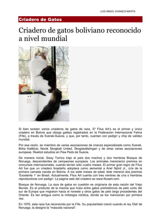 LUIS ANGEL VIVANCO MAYTA
Criadero de Gatos
Criadero de gatos boliviano reconocido
a nivel mundial
Si bien existen varios criaderos de gatos de raza, S* Filus Art’s es el primer y único
criadero en Bolivia que otorga gatitos registrados en la Federación Internacional Felina
(Fife), a través de Sverak-Suecia, y que, por tanto, cuentan con pedigrí y chip de validez
mundial.
Por esa razón, es miembro de varias asociaciones de crianza especializada como Sverak,
Birka Kattklub, Norsk Skogkatt United, Skogskattslingan y de otras varias asociaciones
europeas. Realizó estudios en Paw Peds de Suecia.
De manera inicial, Sissy Torrico trajo al país dos machos y dos hembras Bosque de
Noruega, descendientes de campeones europeos. Los animales merecieron premios en
concursos internacionales, cuando tenían sólo cuatro meses. El primer gran logro de Filus
Art fue que un criadero brasileño adoptara como semental a Ariel Njörd Jr., cría de la
primera camada nacida en Bolivia. A los siete meses de edad, éste mereció dos premios
‘Excelente 1’ en Brasil. Actualmente, Filus Art cuenta con tres vientres de cría o hembras
reproductoras con pedigrí. La página web del criadero es www.filusart.com.
Bosque de Noruega. La raza de gatos en cuestión es originaria de esta nación del Viejo
Mundo. Es el producto de la mezcla que hubo entre gatos prehistóricos de pelo corto del
sur de Europa que migraron hacia el noreste y otros gatos de pelo largo procedentes del
Oriente. Es tan antigua como la mitología nórdica, donde se los mencionan por primera
vez.
En 1976, esta raza fue reconocida por la Fife. Su popularidad creció cuando el rey Olaf de
Noruega, la designó la “mascota nacional”.
 