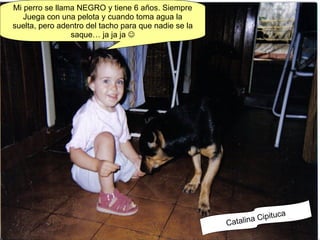 Mi perro se llama NEGRO y tiene 6 años. Siempre Juega con una pelota y cuando toma agua la suelta, pero adentro del tacho para que nadie se la saque… ja ja ja   Catalina Cipituca 