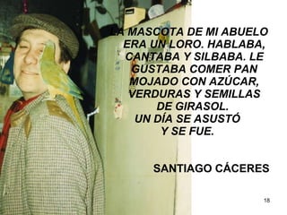 LA MASCOTA DE MI ABUELO ERA UN LORO. HABLABA, CANTABA Y SILBABA. LE GUSTABA COMER PAN MOJADO CON AZÚCAR, VERDURAS Y SEMILLAS DE GIRASOL.  UN DÍA SE ASUSTÓ  Y SE FUE.  SANTIAGO CÁCERES 
