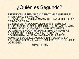 ¿Quién es Segundo? TIENE DOS MESES. NACIÓ APROXIMADAMENTE EL 11 DE ABRIL. ES MACHO.  ESTA VEZ LO TRAJO MI MAMÁ, DE UNA VERDULERÍA CERCA DE CASA.  EL TEMA DE PREOCUPACIÓN ERA SI ZEUS LO ACEPTARÍA O LE GRUÑIRÍA CUANDO SE ACERCARA.  EN REALIDAD LO IGNORÓ COMPLETAMENTE.  LO QUE NO ENCONTRÁBAMOS ERA UN NOMBRE APROPIADO: PEQUE, AARON, CHISPITA…. Y CONTINUABA LA LISTA. HASTA QUE LLEGÓ EL NOMBRE SEGUNDO, AUNQUE EN REALIDAD LO APODAMOS PIRAÑA, YA QUE MUERDE TODO LO QUE LO RODEA. SRTA. LUJÁN. 