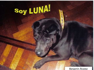 Soy LUNA! Benjamín Álvarez 
