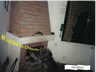 Mi nombre es Chiquita Ciro Barcia 