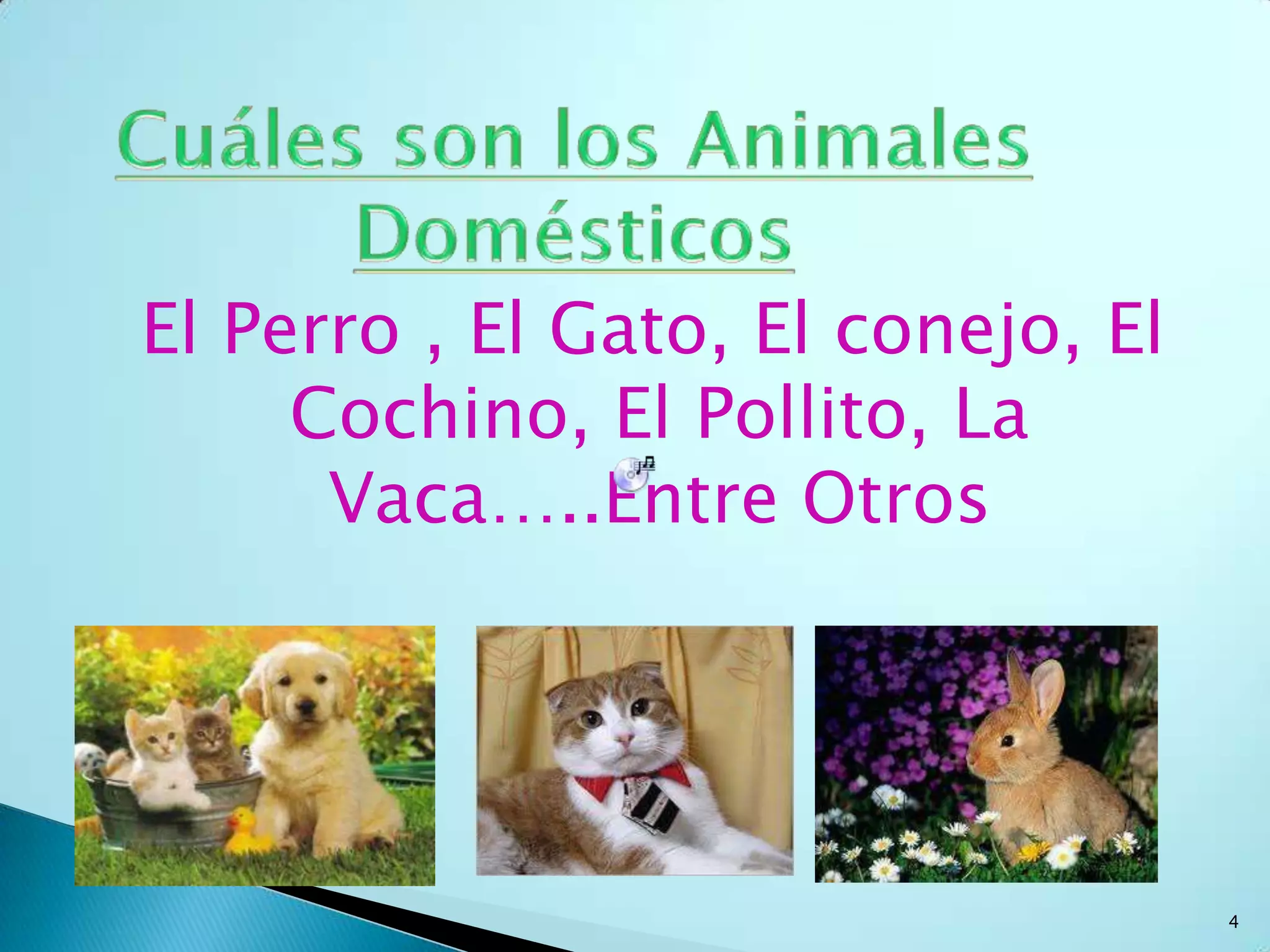 Qué son los animales Domésticos?