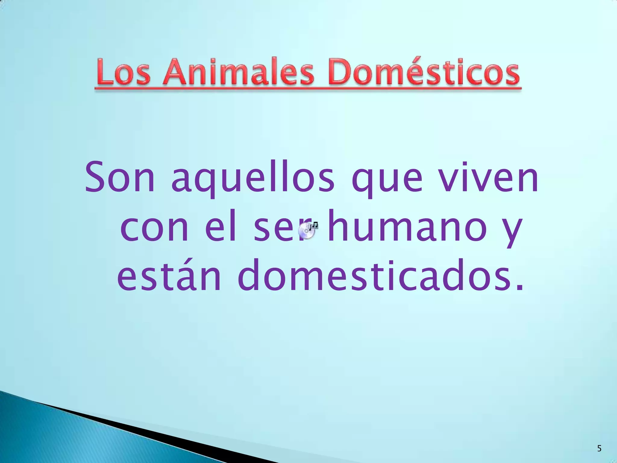 Como se Clasifican los Animales Domésticos?