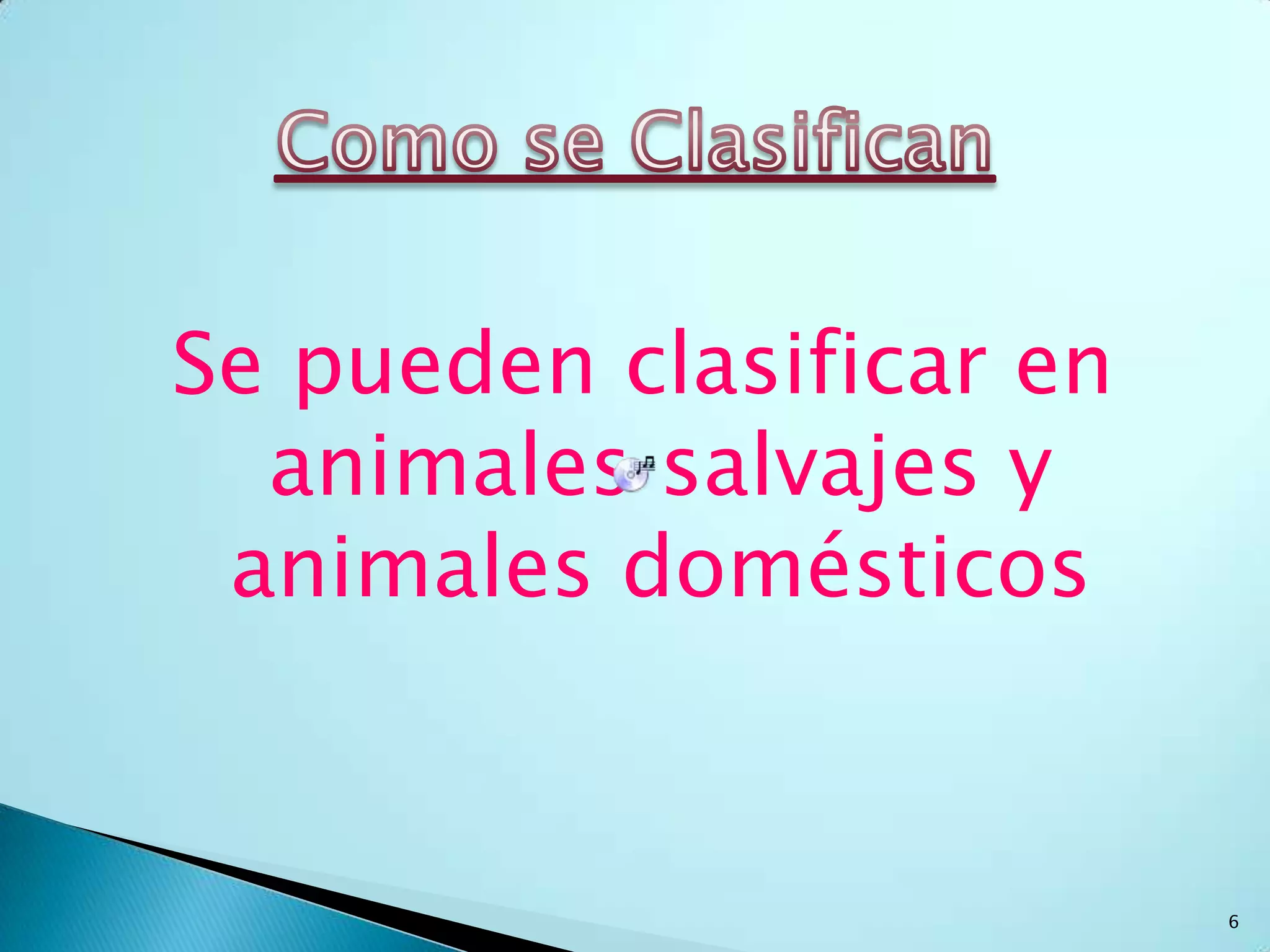 Cuál es el mejor Animal Domésticos?