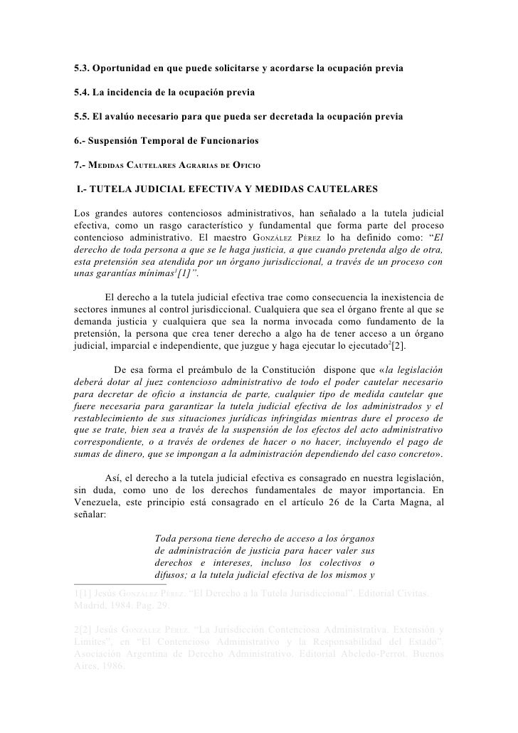 Las Medidas Cautelares En El Contencioso Admi Nistrativo