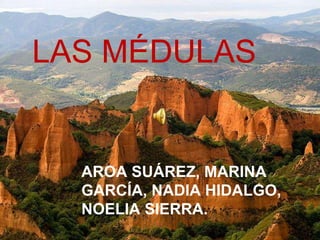 LAS MÉDULAS 
AROA SUÁREZ, MARINA 
GARCÍA, NADIA HIDALGO, 
NOELIA SIERRA. 
 