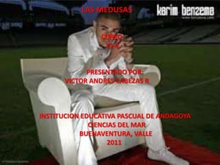 LAS MEDUSAS


                CURSO
                 11-1


            PRESENTADO POR:
      VICTOR ANDRES CABEZAS R



INSTITUCION EDUCATIVA PASCUAL DE ANDAGOYA
              CIENCIAS DEL MAR
           BUENAVENTURA, VALLE
                   2011
 