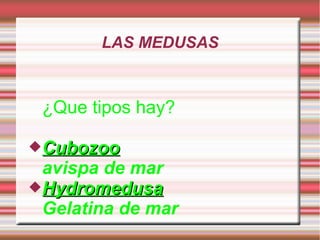LAS MEDUSAS



 ¿Que tipos hay?

Cubozoo
 avispa de mar
Hydromedusa
 Gelatina de mar
 
