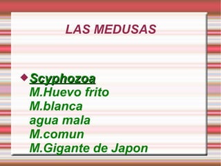 LAS MEDUSAS


Scyphozoa
 M.Huevo frito
 M.blanca
 agua mala
 M.comun
 M.Gigante de Japon
 
