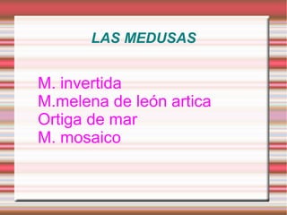 LAS MEDUSAS


M. invertida
M.melena de león artica
Ortiga de mar
M. mosaico
 