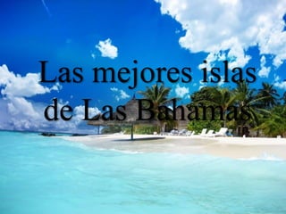 Las mejores islas
de Las Bahamas
 