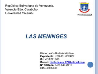 República Bolivariana de Venezuela.
Valencia-Edo. Carabobo.
Universidad Yacambu

LAS MENINGES
Héctor Jesús Hurtado Montero
Expediente: HPS-131-00244V
C.I: V-18.241.393
Correo: Hectorjesus_87@hotmail.com
Nº Teléfono: 0426-540.29.19
0414-480.56.68

 