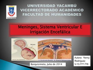 Meninges, Sistema Ventricular E
Irrigación Encefálica
Autora: Yenny
Rodríguez
V-13.777.778Barquisimeto, Julio de 2014
 