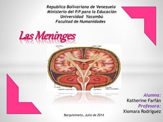 LasMeninges
Alumna:
Katherine Farfán
Profesora:
Xiomara Rodríguez
Barquisimeto, Julio de 2014
Republica Bolivariana de Venezuela
Ministerio del P.P para la Educación
Universidad Yacambù
Facultad de Humanidades
 