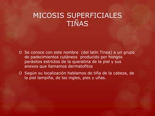 MICOSIS SUPERFICIALES
               TIÑAS



 Se conoce con este nombre (del latín Tinea) a un grupo
  de padecimientos cutáneos producido por hongos
  parásitos estrictos de la queratina de la piel y sus
  anexos que llamamos dermatofitos
 Según su localización hablamos de tiña de la cabeza, de
  la piel lampiña, de las ingles, pies y uñas.
 