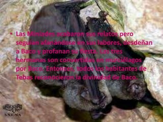 • Las Miníades acabaron sus relatos pero
seguían afanándose en sus labores, desdeñan
a Baco y profanan su fiesta. Las tres
hermanas son convertidas en murciélagos
por Baco. Entonces, todos los habitantes de
Tebas reconocieron la divinidad de Baco.

 