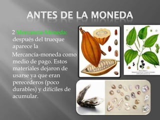 2 Mercancía-Moneda:
después del trueque
aparece la
Mercancía-moneda como
medio de pago. Estos
materiales dejaron de
usarse ya que eran
perecederos (poco
durables) y difíciles de
acumular.
 