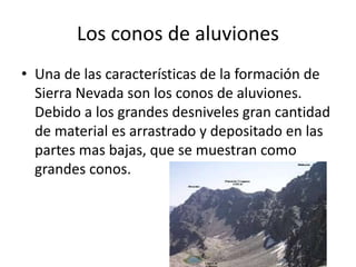 Los conos de aluviones
• Una de las características de la formación de
Sierra Nevada son los conos de aluviones.
Debido a los grandes desniveles gran cantidad
de material es arrastrado y depositado en las
partes mas bajas, que se muestran como
grandes conos.
 