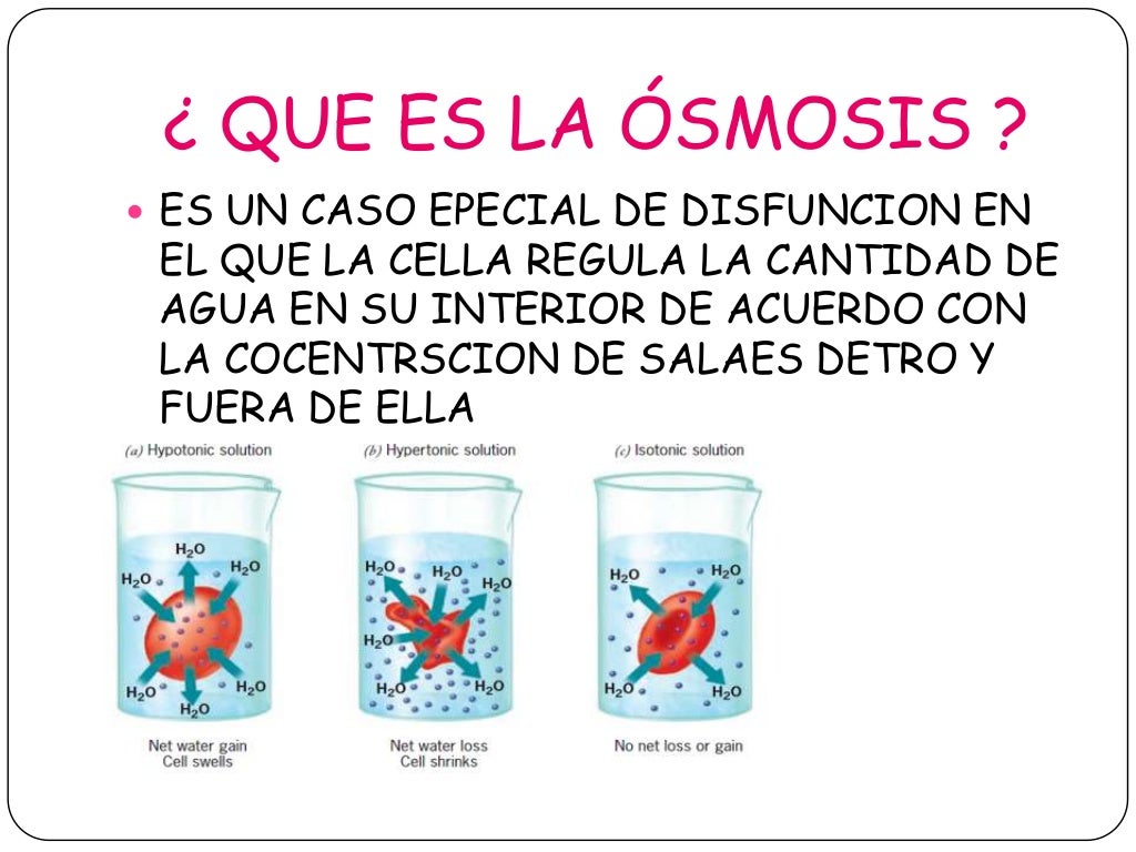 La ósmosis