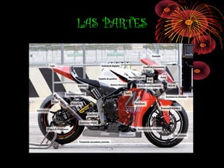 LAS PARTES
 