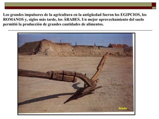 Los grandes impulsores de la agricultura en la antigüedad fueron los EGIPCIOS, los
ROMANOS y, siglos más tarde, los ÁRABES. Un mejor aprovechamiento del suelo
permitió la producción de grandes cantidades de alimentos.

 