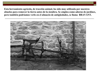 Esta herramienta agrícola, de tracción animal, ha sido muy utilizada por nuestros
abuelos para remover la tierra antes de la siembra. Se emplea como adorno de jardines,
pero también podríamos verlo en el almacén de antigüedades, se llama BRAVANT.

 