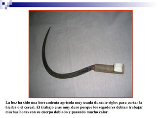 La hoz ha sido una herramienta agrícola muy usada durante siglos para cortar la
hierba o el cereal. El trabajo eras muy duro porque los segadores debían trabajar
muchas horas con su cuerpo doblado y pasando mucho calor.

 