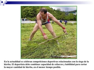 En la actualidad se celebran competiciones deportivas relacionadas con la siega de la
hierba. El deportista debe combinar capacidad de esfuerzo y habilidad para cortar
la mayor cantidad de hierba, en el menor tiempo posible.

 