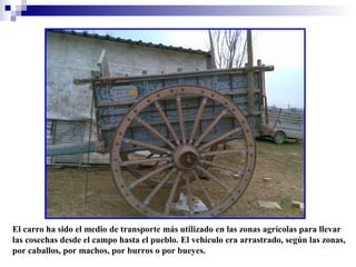 El carro ha sido el medio de transporte más utilizado en las zonas agrícolas para llevar
las cosechas desde el campo hasta el pueblo. El vehículo era arrastrado, según las zonas,
por caballos, por machos, por burros o por bueyes.

 