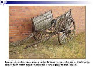 La aparición de los remolques con ruedas de goma y arrastrados por los tractores, ha
hecho que los carros hayan desaparecido o hayan quedado abandonados.

 