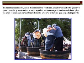 En muchas localidades, antes de comenzar la vendimia, se celebra una fiesta que sirve
para recordar y homenajear a todas aquellas personas cuyo trabajo consistía en pisar
las uvas con sus pies para extraer el mosto. Observa el líquido que sale a la izquierda.

 