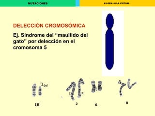 DELECCIÓN CROMOSÓMICA Ej. Síndrome del “maullido del gato” por delección en el cromosoma 5 