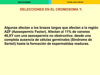 DELECCIONES EN EL CROMOSOMA Y .   Algunas afectan a los brazos largos que afectan a la región  AZF (Azoospermic Factor). Afectan al  11%  de varones 46,XY con una azoospermia no obstructiva :  desde una completa ausencia de células germinales (Síndrome de Sertoli) hasta la formación de espermatidas maduras. 