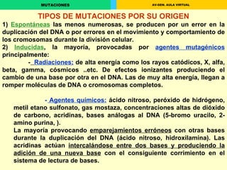 TIPOS DE MUTACIONES POR SU ORIGEN 1)  Espontáneas  las menos numerosas, se producen por un error en la duplicación del DNA o por errores en el movimiento y comportamiento de los cromosomas durante la división celular. 2)  Inducidas , la mayoría, provocadas por  agentes mutagénicos  principalmente: -   Radiaciones :  de alta energía como los rayos catódicos, X, alfa, beta, gamma, cósmicos ..etc. De efectos ionizantes produciendo el cambio de una base por otra en el DNA. Las de muy alta energía, llegan a romper moléculas de DNA o cromosomas completos. -  Agentes químicos:  ácido nitroso, peróxido de hidrógeno, metil etano sulfonato, gas mostaza, concentraciones altas de dióxido de carbono, acridinas, bases análogas al DNA (5-bromo uracilo, 2-amino purina, ). La mayoría provocando  emparejamientos erróneos  con otras bases durante la duplicación del DNA (ácido nitroso, hidroxilamina). Las acridinas actúan  intercalándose entre dos bases y produciendo la adición de una nueva base  con el consiguiente corrimiento en el sistema de lectura de bases.  