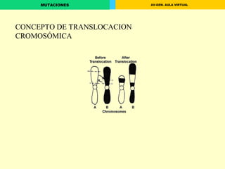 CONCEPTO DE TRANSLOCACION CROMOSÓMICA 