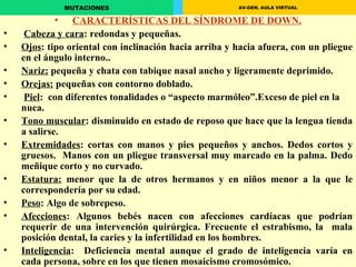 CARACTERÍSTICAS DEL SÍNDROME DE DOWN. Cabeza y cara : redondas y pequeñas. Ojos :  tipo oriental con inclinación hacia arriba y hacia afuera, con un pliegue en el ángulo interno.. Nariz :  pequeña y chata con tabique nasal ancho y ligeramente deprimido. Orejas :  pequeñas  con  contorno doblado.    Piel :  con diferentes tonalidades o “aspecto marmóleo”.Exceso de piel en la nuca. Tono muscular :  disminuido en estado de reposo que hace que la lengua tienda a salirse. Extremidades :   cortas con  manos y pies  pequeños y  anchos. Dedos cortos y gruesos.  Manos con un pliegue transversal muy marcado en la palma. Dedo meñique corto y no curvado. Estatura:  menor que la de otros hermanos y en niños menor a la que le correspondería por su edad. Peso : Algo de sobrepeso. Afecciones :  Algunos bebés nacen con afecciones cardíacas que podrían requerir de una intervención quirúrgica. Frecuente el estrabismo, la  mala posición dental, la caries y la infertilidad en los hombres. Inteligencia :    Deficiencia mental aunque el grado de inteligencia varía en cada persona, sobre en los que tienen mosaicismo cromosómico. 