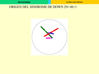 ORIGEN DEL SINDROME DE DOWN 2N=46+1 