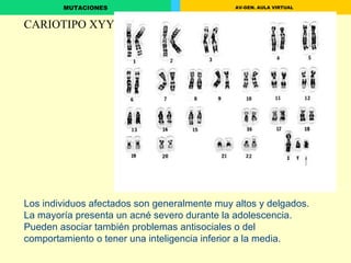 CARIOTIPO XYY Los individuos afectados son generalmente muy altos y delgados. La mayoría presenta un acné severo durante la adolescencia. Pueden asociar también problemas antisociales o del comportamiento o tener una inteligencia inferior a la media.  