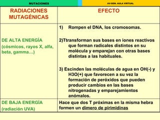 RADIACIONES MUTAGÉNICAS EFECTO DE ALTA ENERGÍA  (cósmicos, rayos X, alfa, beta, gamma…) Rompen el DNA, los cromosomas. 2)Ttransforman sus bases en iones reactivos que forman radicales distintos en su molécula y emparejan con otras bases distintas a las habituales. 3) Escinden las moléculas de agua en OH(-) y H3O(+) que favorecen a su vez la formación de peróxidos que pueden producir cambios en las bases nitrogenadas y emparejamientos anómalos. DE BAJA ENERGÍA (radiación UVA) Hace que dos T próximas en la misma hebra formen un  dímero de pirimidinas   