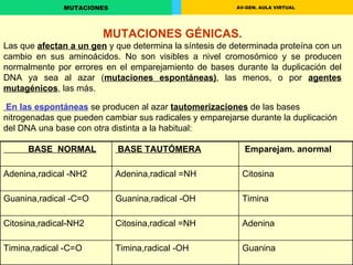 MUTACIONES GÉNICAS. Las que  afectan a un gen  y que determina la síntesis de determinada proteína con un cambio en sus aminoácidos. No son visibles a nivel cromosómico y se producen normalmente por errores en el emparejamiento de bases durante la duplicación del DNA ya sea al azar ( mutaciones espontáneas) , las menos, o por  agentes mutagénicos , las más. En las espontáneas  se producen al azar  tautomerizaciones  de las bases nitrogenadas que pueden cambiar sus radicales y emparejarse durante la duplicación del DNA una base con otra distinta a la habitual: BASE  NORMAL   BASE TAUTÓMERA Emparejam. anormal  Adenina,radical -NH2 Adenina,radical =NH Citosina Guanina,radical -C=O  Guanina,radical -OH Timina Citosina,radical-NH2 Citosina,radical =NH Adenina Timina,radical -C=O Timina,radical -OH  Guanina 