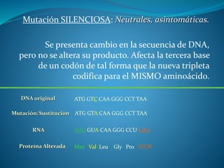 Mutación SILENCIOSA: Neutrales, asintomáticas.
Se presenta cambio en la secuencia de DNA,
pero no se altera su producto. Afecta la tercera base
de un codón de tal forma que la nueva tripleta
codifica para el MISMO aminoácido.
DNA original ATG GTC CAA GGG CCT TAA
RNA AUG GUA CAA GGG CCU UAA
Proteína Alterada Met Val Leu Gly Pro STOP
ATG GTA CAA GGG CCT TAAMutación/Sustitución
 