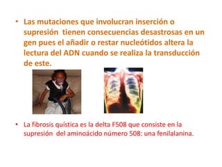 • Las mutaciones que involucran inserción o
  supresión tienen consecuencias desastrosas en un
  gen pues el añadir o restar nucleótidos altera la
  lectura del ADN cuando se realiza la transducción
  de este.




• La fibrosis quística es la delta F508 que consiste en la
  supresión del aminoácido número 508: una fenilalanina.
 