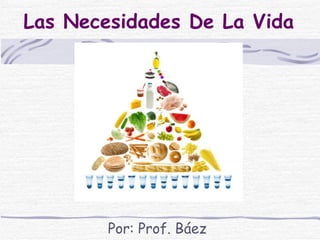 Las Necesidades De La Vida Por: Prof. Báez 