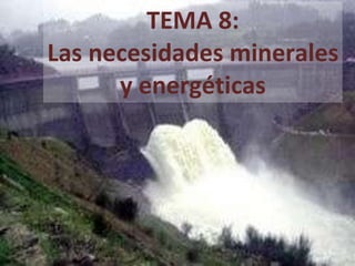 TEMA 8: Las necesidades minerales y energéticas 