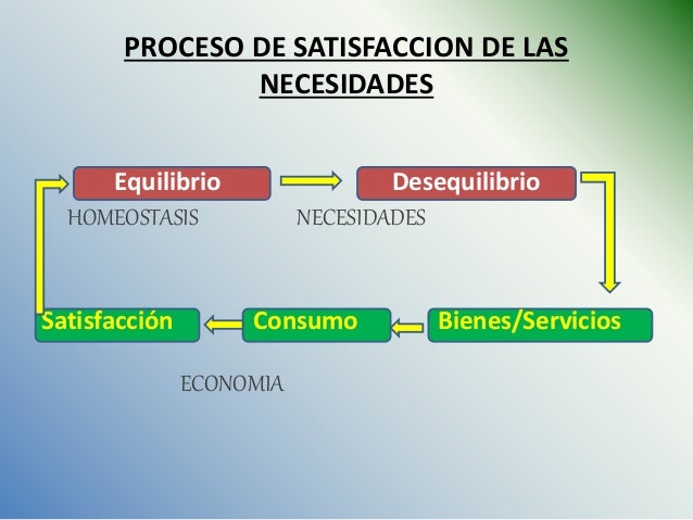 Consecuencia De La Satisfacción De Las Necesidades www.slideshare.net