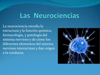 La neurociencia estudia la estructura y la función química, farmacología, y patología del sistema nervioso y de cómo los diferentes elementos del sistema nervioso interactúan y dan origen a la conducta. 